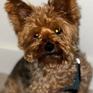 Meet your Posher, Gloria